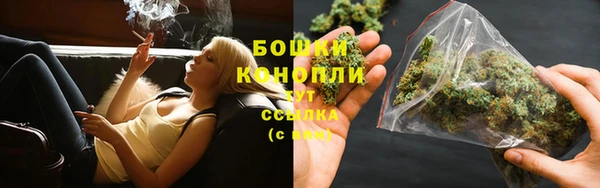 дурь Аркадак