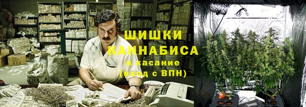 дурь Аркадак