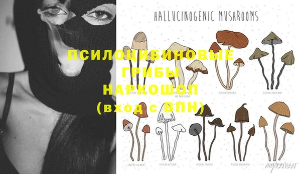 прущая мука Армянск