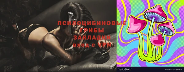 прущая мука Армянск