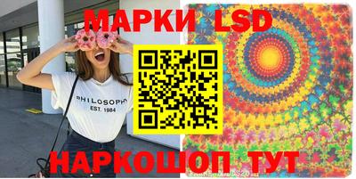 МДПВ Бердск