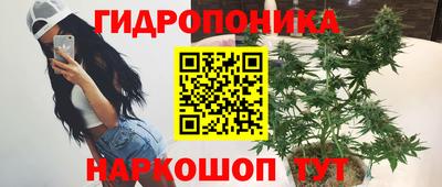 МДПВ Бердск