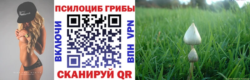 Галлюциногенные грибы мухоморы  Саки 