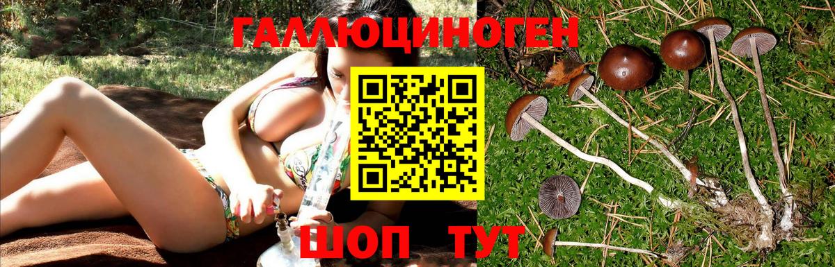 наркотики  Псилоцибиновые грибы Psilocybine cubensis  Вход с VPN  Саки  Псилоцибиновые грибы MAGIC MUSHROOMS 